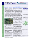 July 2006 Newsletter Cover